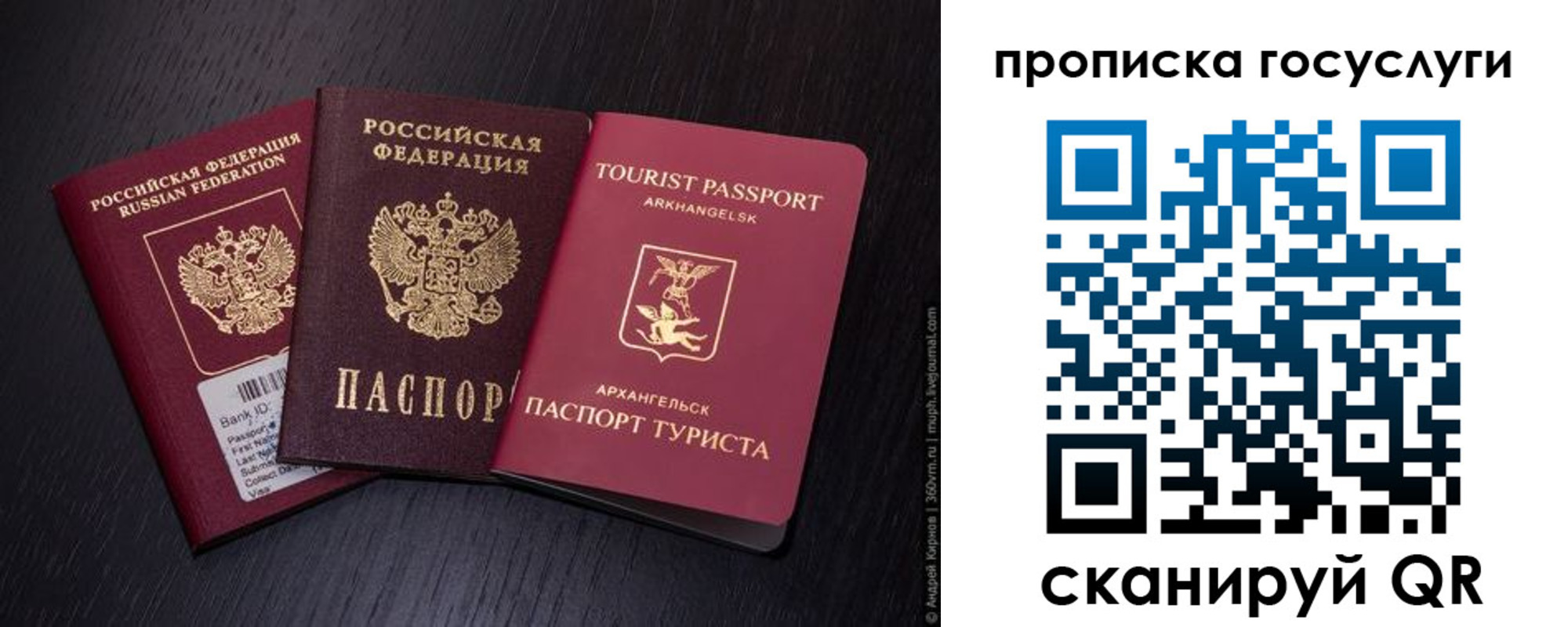 прописка 2025 в Пересвете